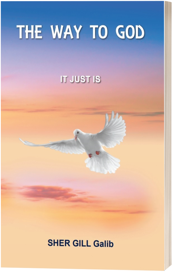 Book - The Way To God